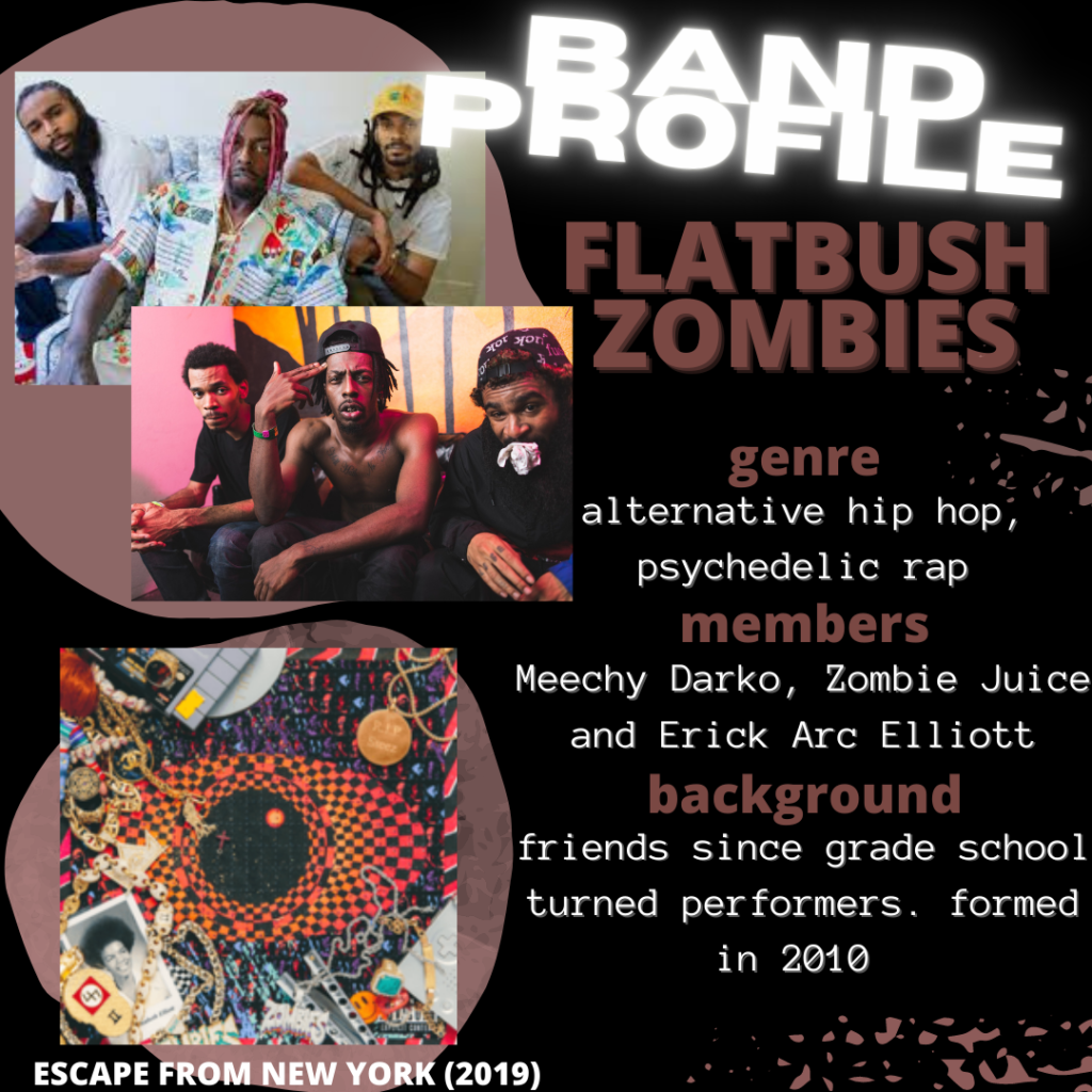 flatbush zombies background