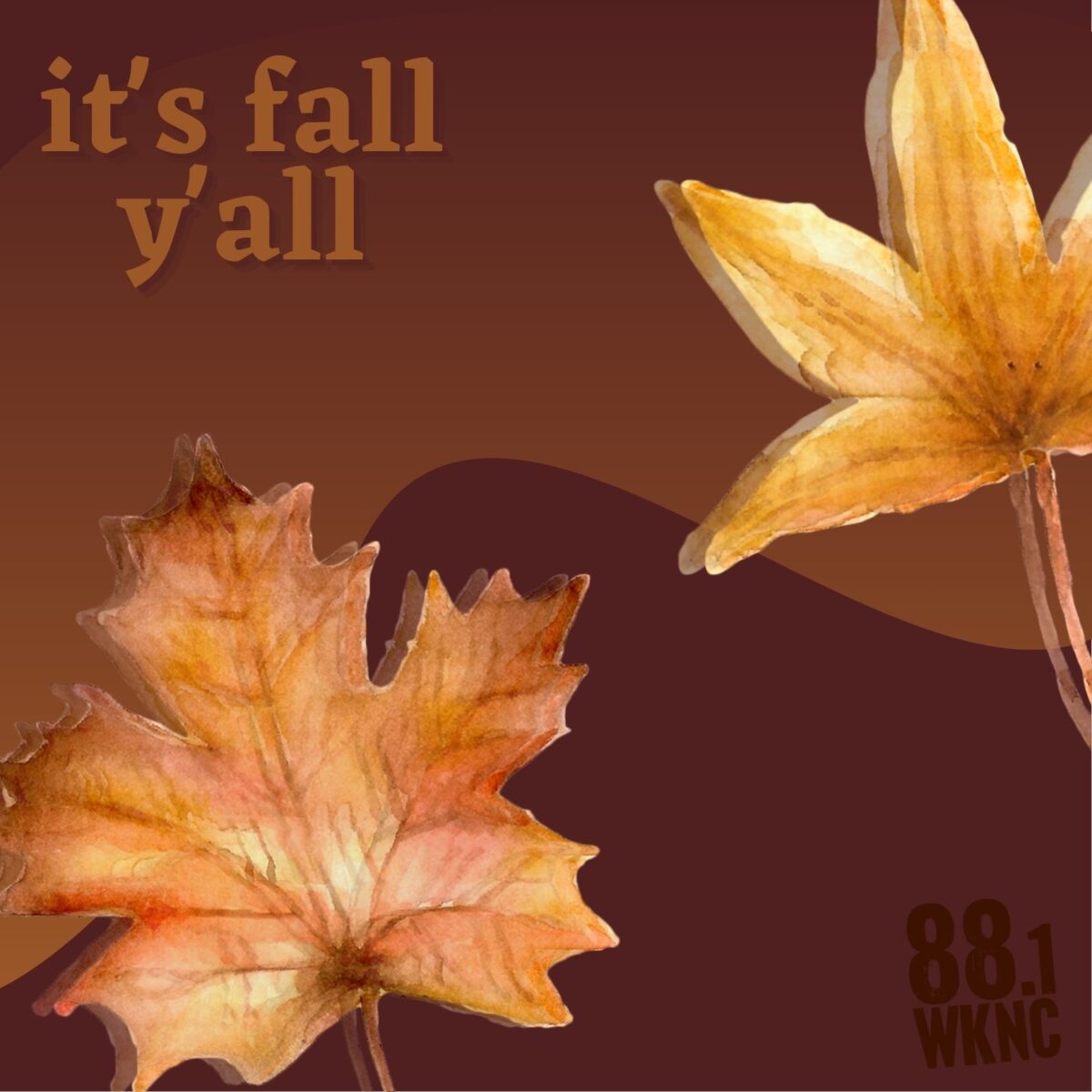 Brown background image with red and orange leaves overlayed with text that reads "it's fall y'all" in the upper left hand corner and "88.1 WKNC" in the bottom left hand corner