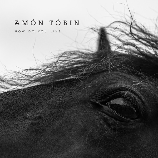 Amon Tobin How do you live Album Cover
