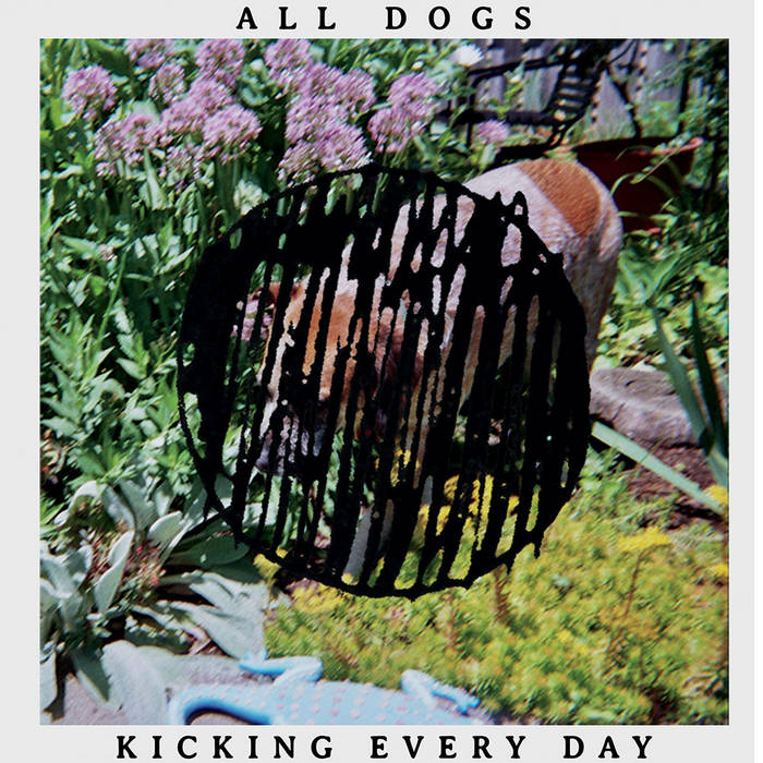 Kicking Every Day album art by All Dogs