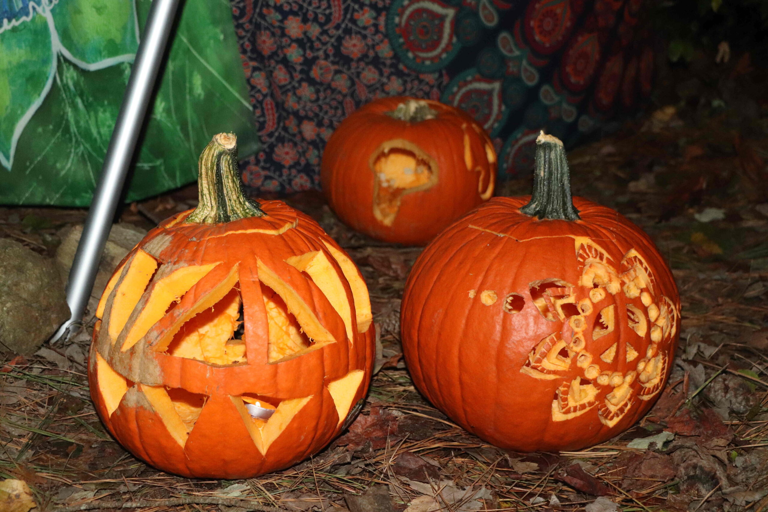 Decorated pumkins outside of our camp site.