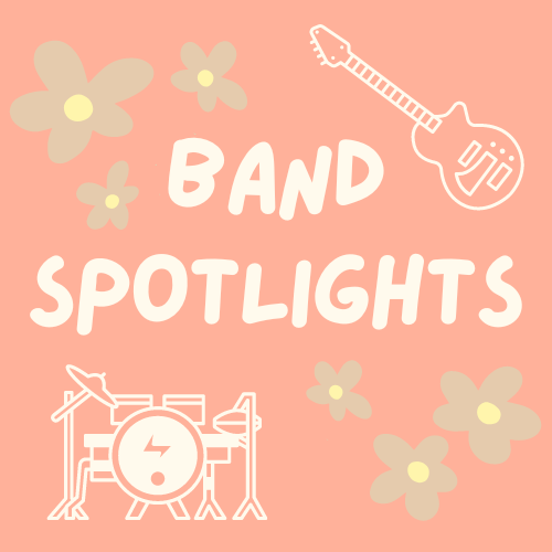 Guitar and Drums with flowers and pink background