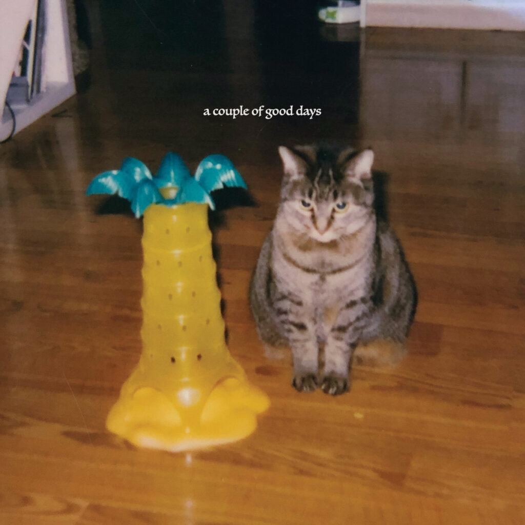 Cover for "A Couple of Good Days" by Fennec. It features a picture of a cat on a hardwood floor next to a toy palm tree. 
