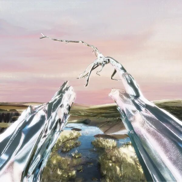Album cover for "Miracle In Transit" by Naked Flames. Features a shiny marsh landscape with no trees. In the foreground there are two large metallic looking objects that are shaped like logs and tree branches. 