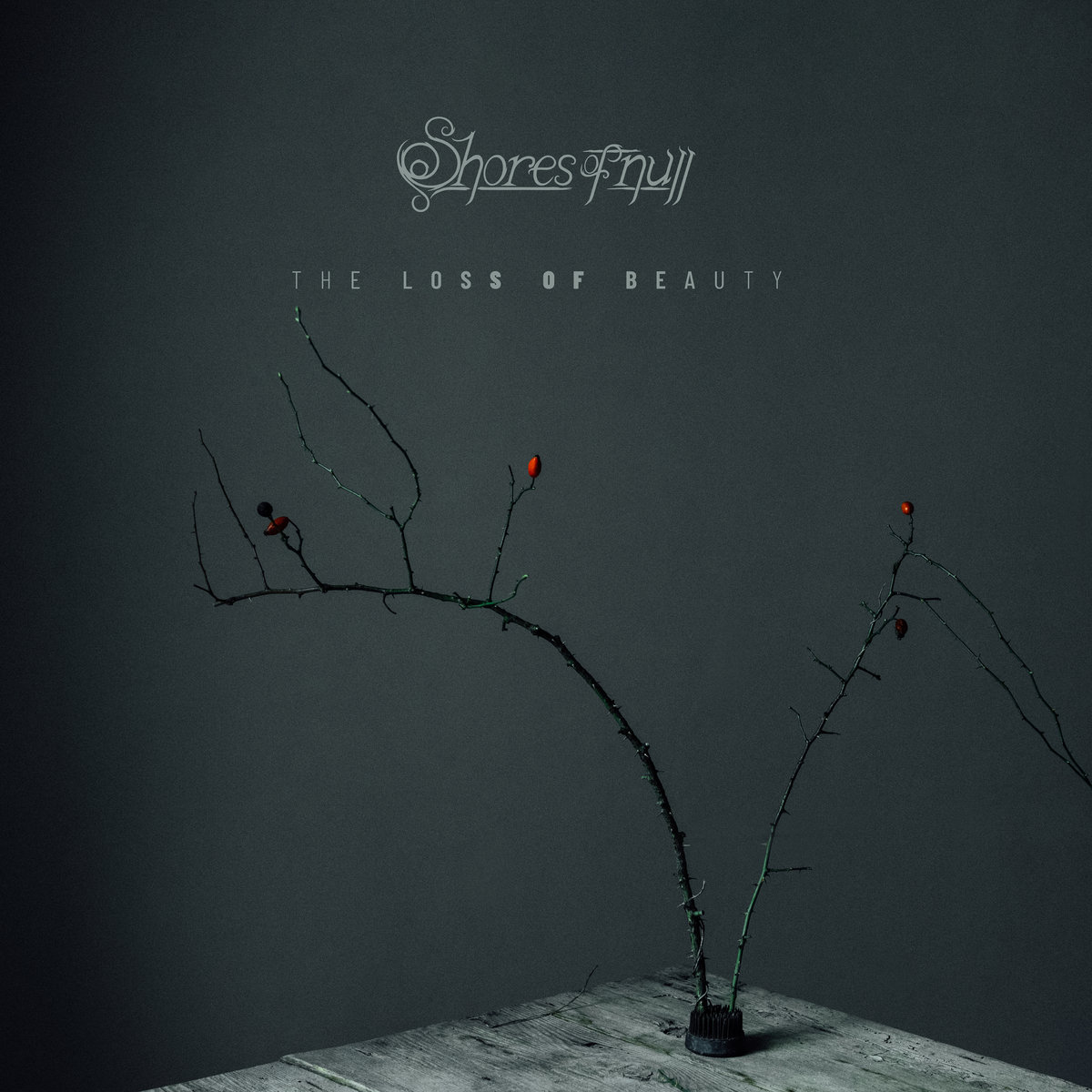 Cover art for The Loss of Beauty by Shores of Null. Barren tree on a table, bending.