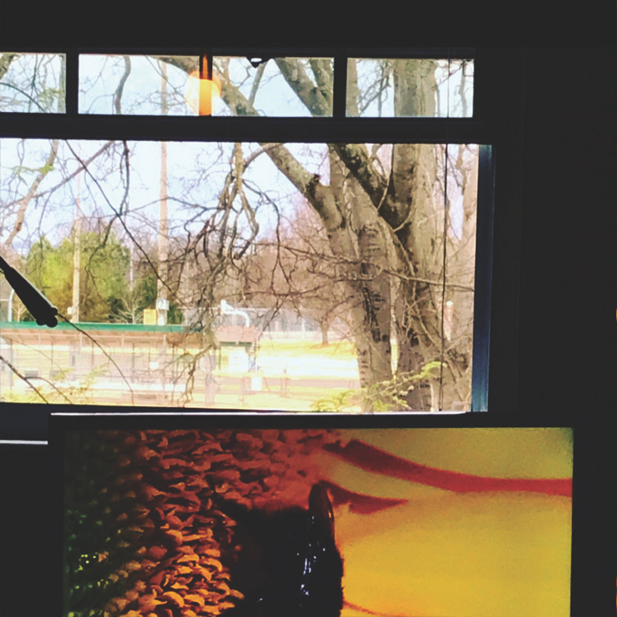 Cover art for Roach Friends by Melaina Kol. Two photos collaged together, one of a view outside of a window and one of a sunflower up-close.