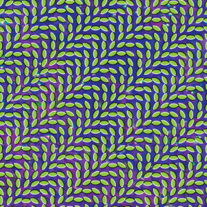 The album cover of Animal Collective's Merriweather Post Pavillion. It features a pattern of green dots on a purple and blue background