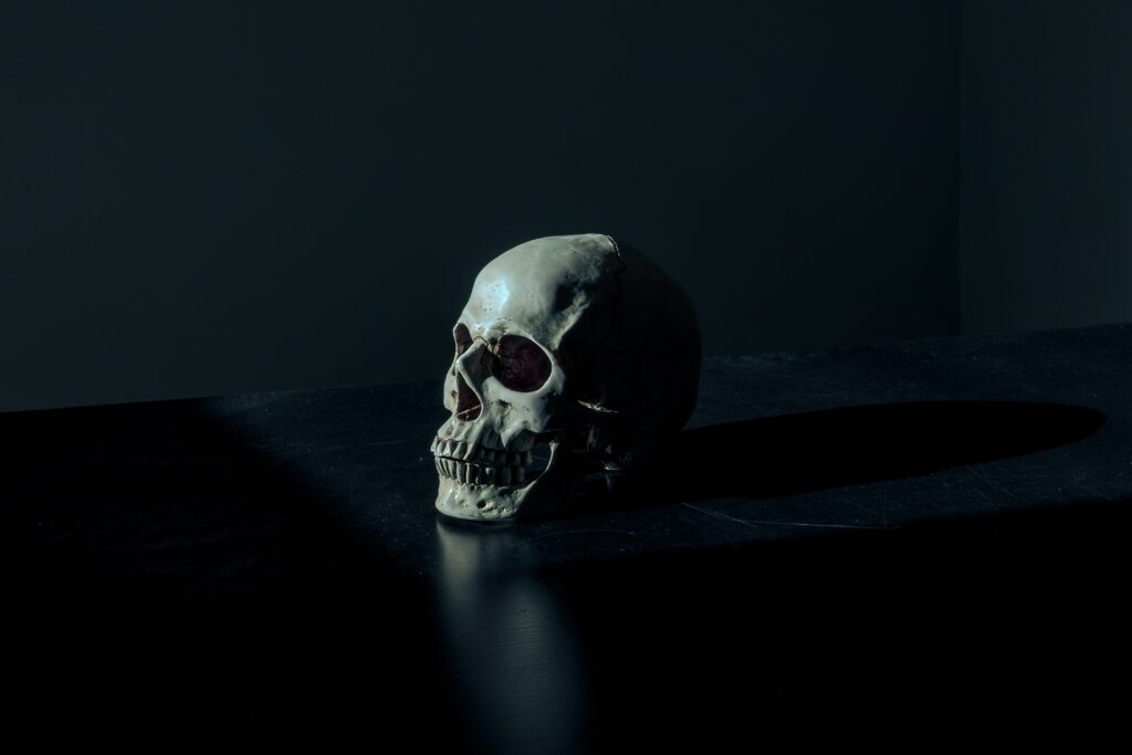 Image of a human skull on a table.