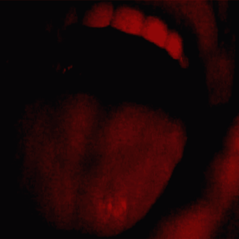 Cover art for bar italia's single, "my little tony". Zoomed in redscale image of an open mouth.