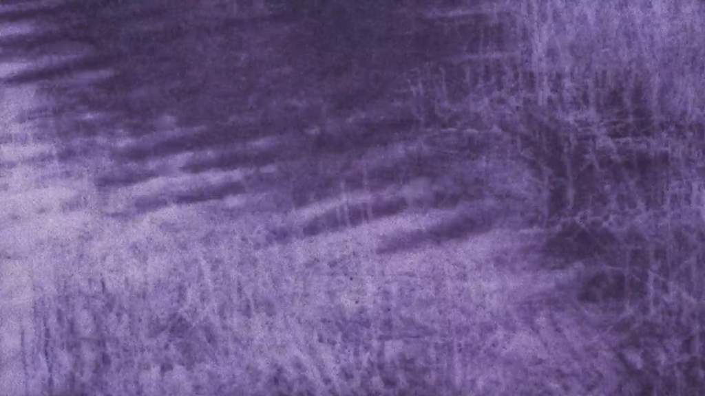 A very grainy, purple-filtered picture of the side of a pond.