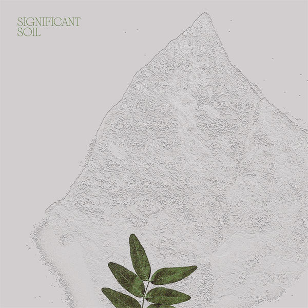 The cover of "Significant Soil" by Mister Water Wet, which is a grey picture of a plant fossil with the plant colored green.