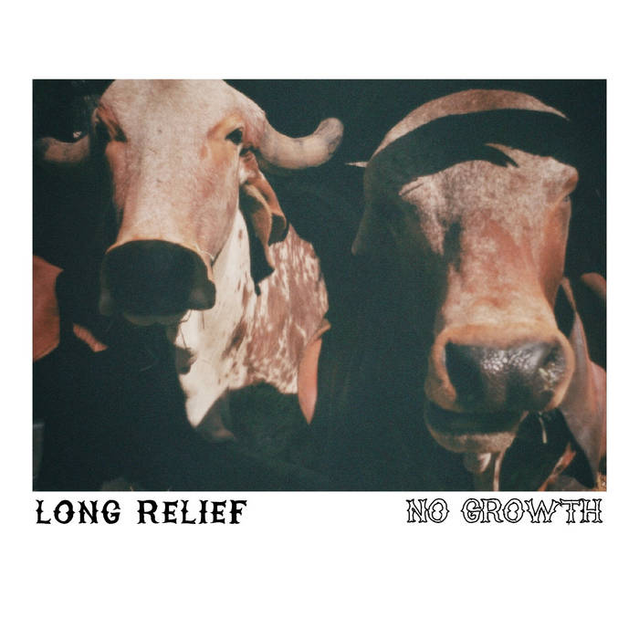 Album cover for the "No Growth" EP by Long Relief.