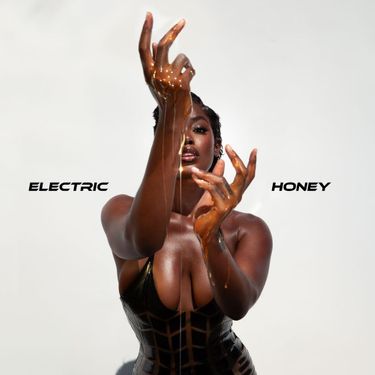 Cover for "Electric Honey" by Tanerelle