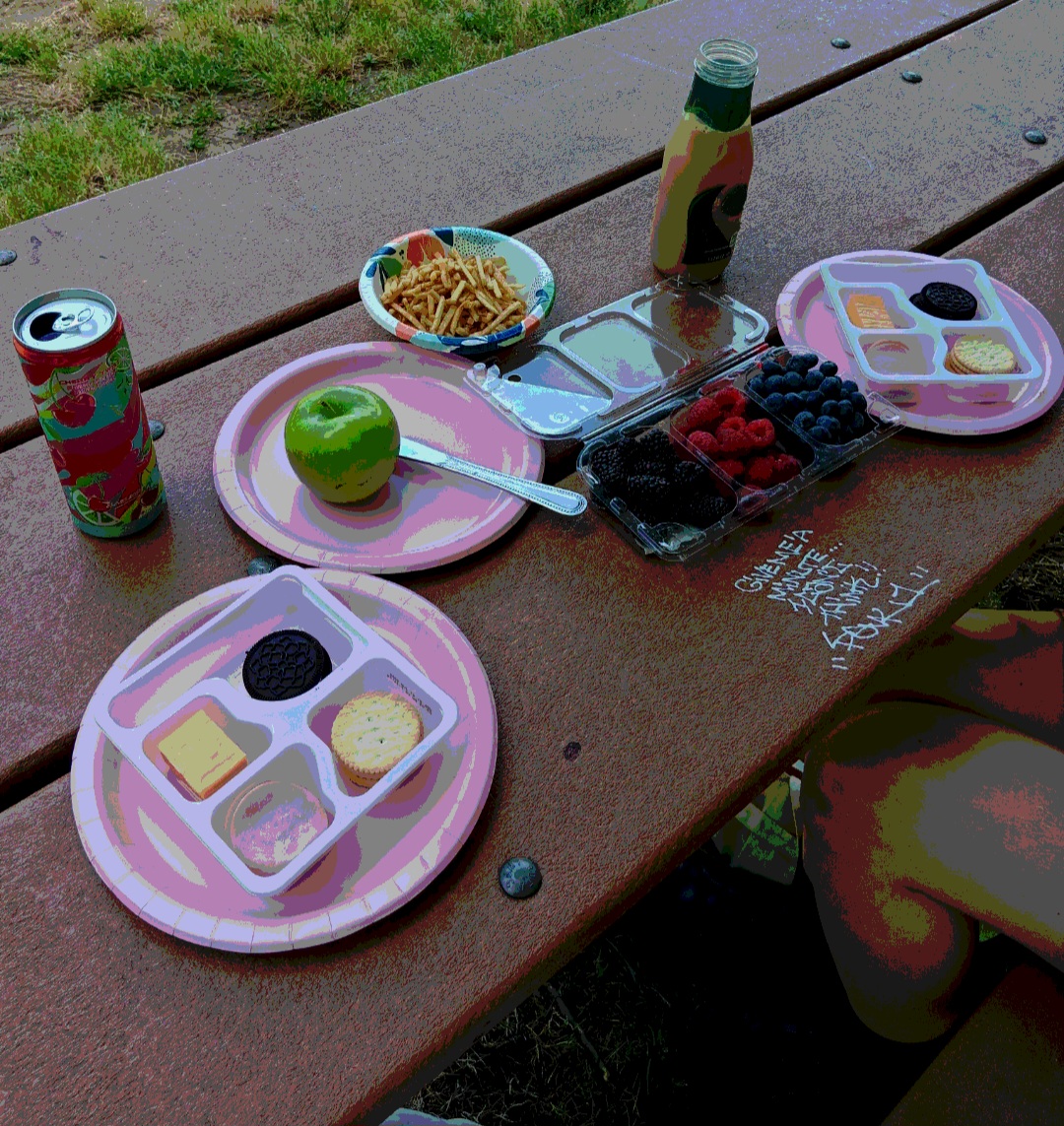 Picnic with lunchables and fruit