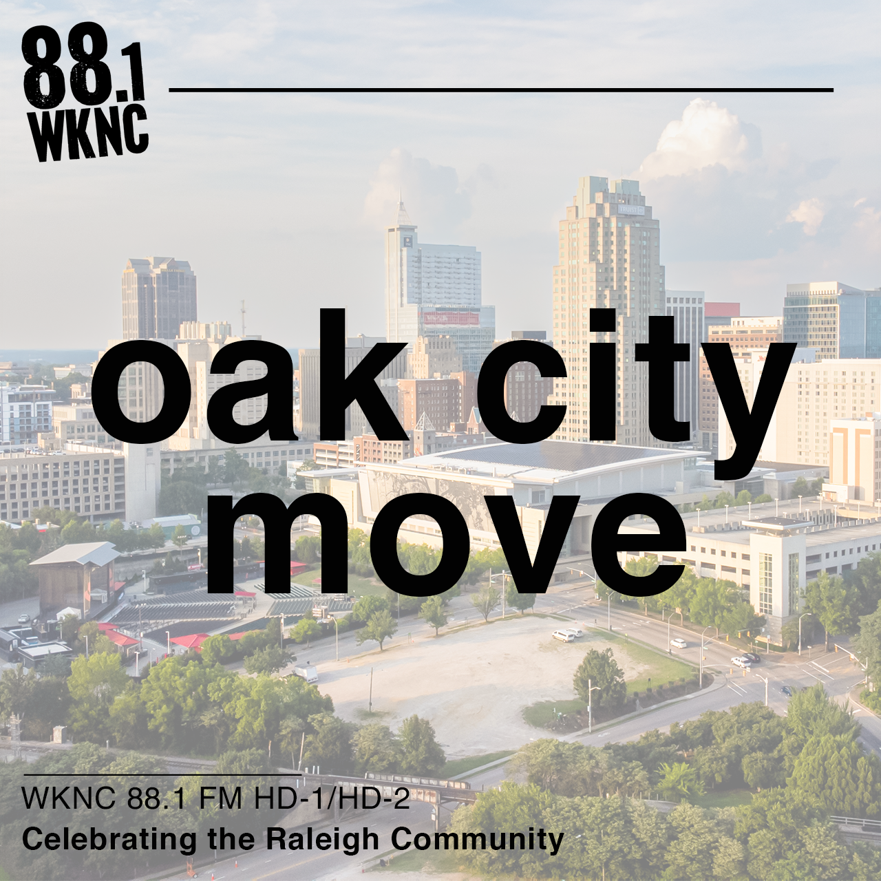 Raleigh cityscape with bold text overlay reading