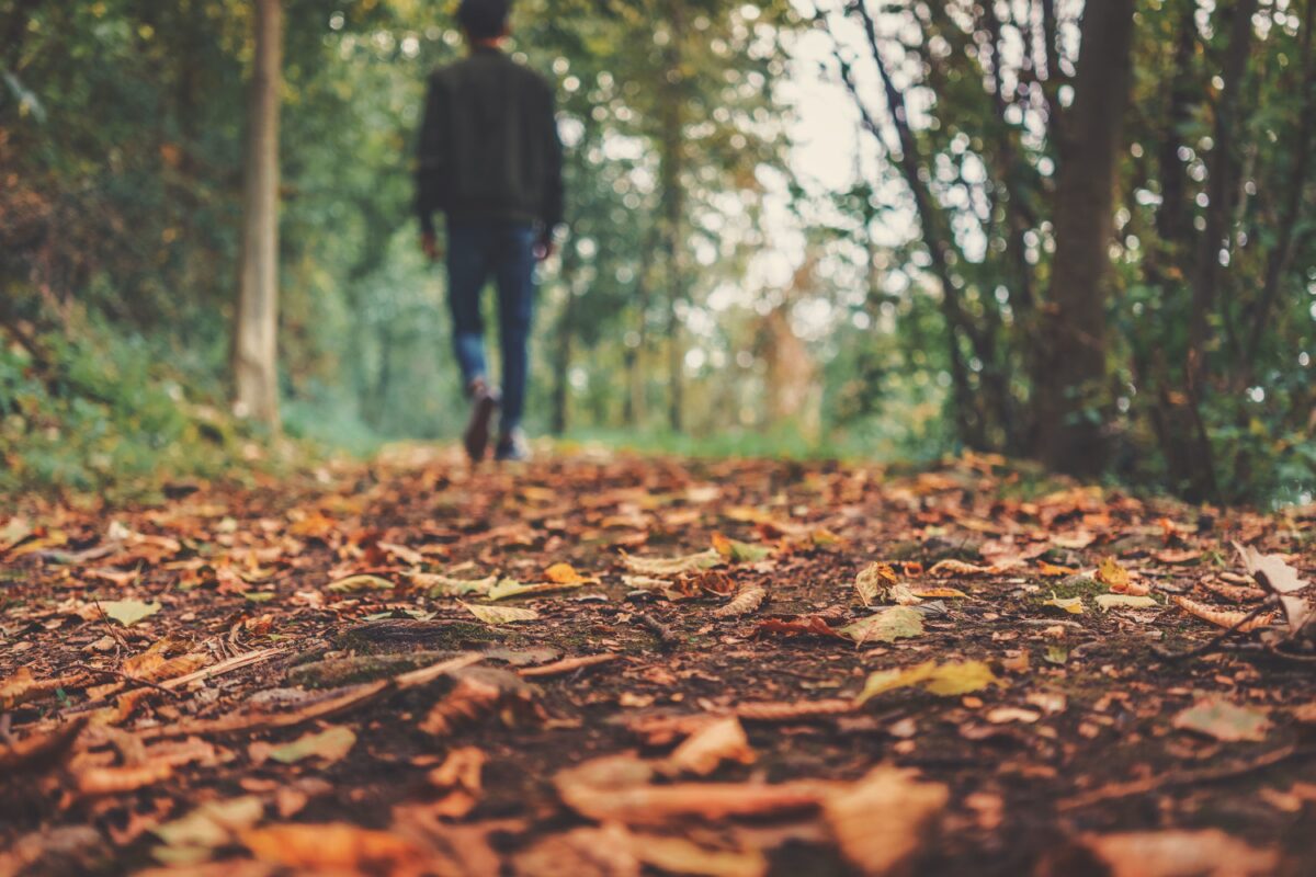 Fall, forest trail with figure walking away in horizon and fallen leaves on the ground.