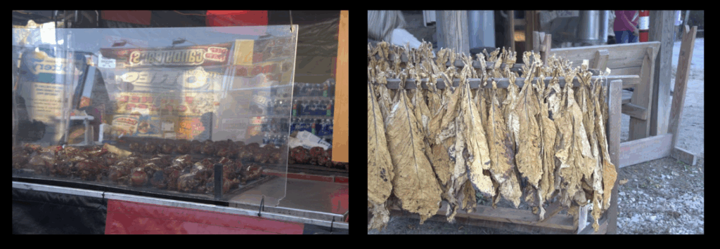 dual photo of dried tobacco and meat