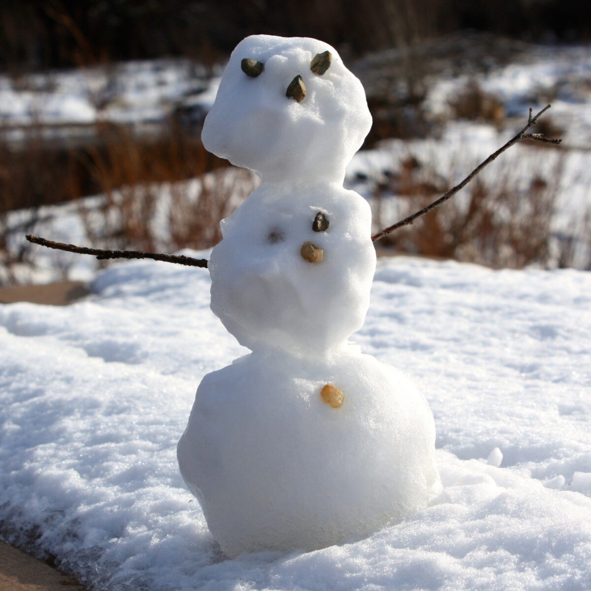 Snowman with stick arms and rocks for eyes, a nose, and buttons
